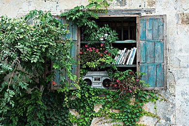 《糖豆人》玩家数突破5000万 官方感到惊讶